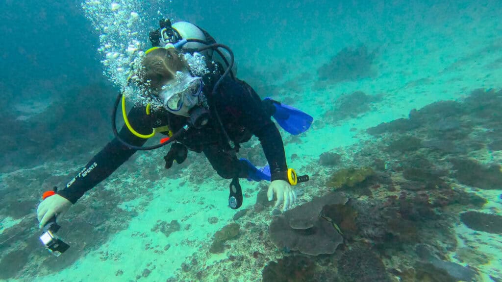 Diving off the coast of Nusa Penida on a day trip from Nusa Lembongan