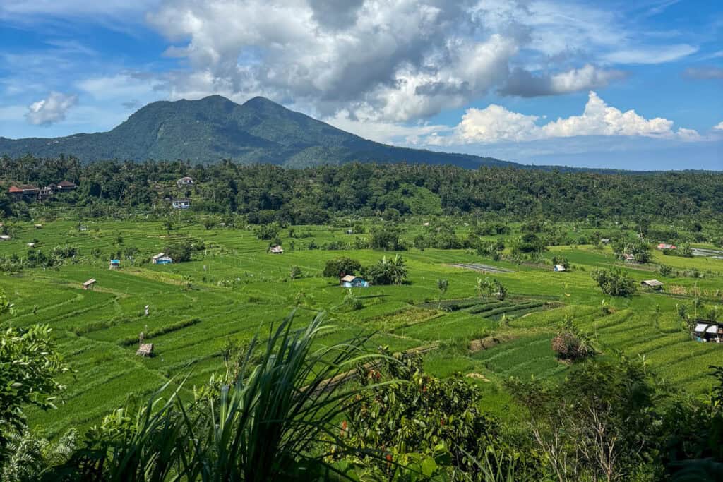 View of Volcano and lush fields in rural Bali