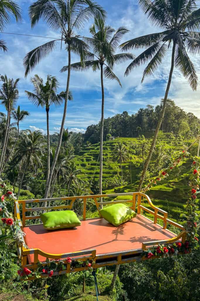 Swing at a rice terrace in Bali