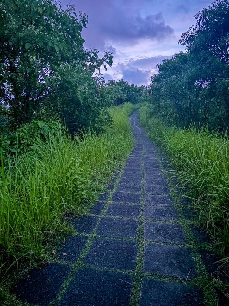 Appreciating a quiet and peaceful senset walk on the Campuhan Ridge Walk in Ubud