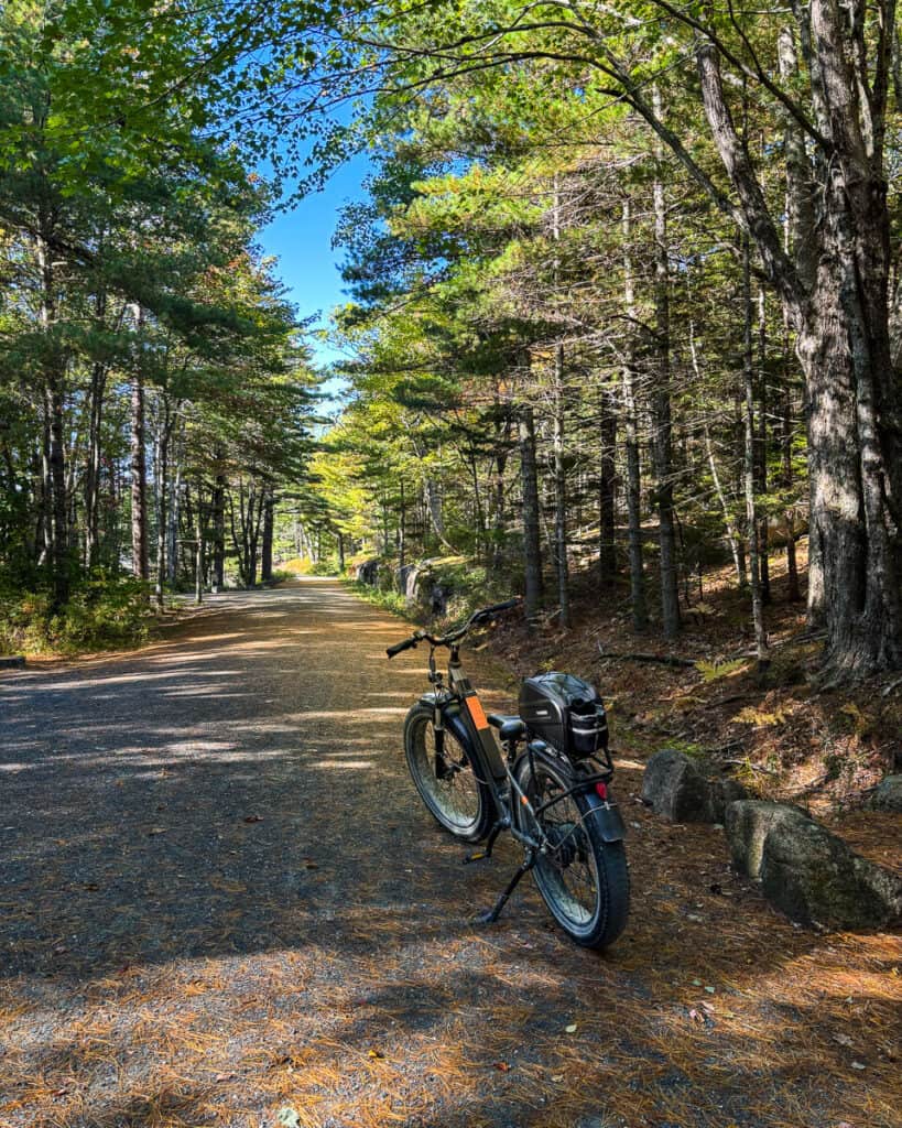 E-bike parked along a shaded, tree-lined stretch of Acadia’s carriage roads, with sunlight filtering through the leaves. The gravel path stretches into the distance, surrounded by tall pine and hardwood trees.