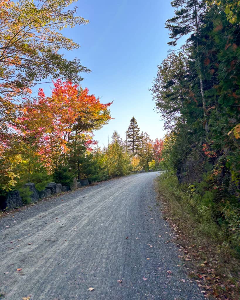 Gravel carriage road in Acadia National Park winding uphill through vibrant fall foliage. Bright red, orange, and yellow leaves contrast with evergreens under a clear blue sky.
