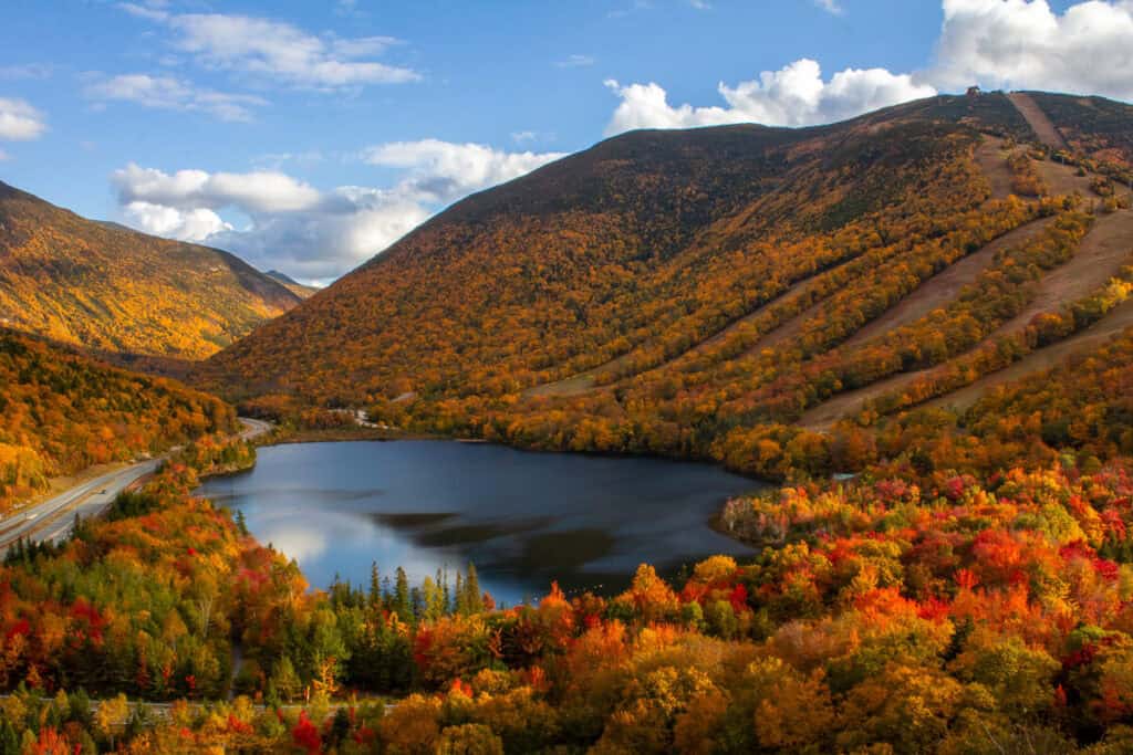 A vibrant patchwork of peak fall foliage surrounds Echo Lake, viewed from Artist's Bluff in New Hampshire's White Mountains, with ski trails cutting through the golden hillside.