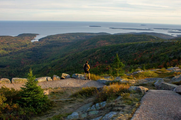 A lone hiker stands near a rocky path on Cadillac Mountain in Acadia National Park, gazing out over a vast landscape of forested hills and ocean in the golden light of sunset. The peaceful moment captures a reflective pause, echoing life lessons from travel during a fall road trip through New England.