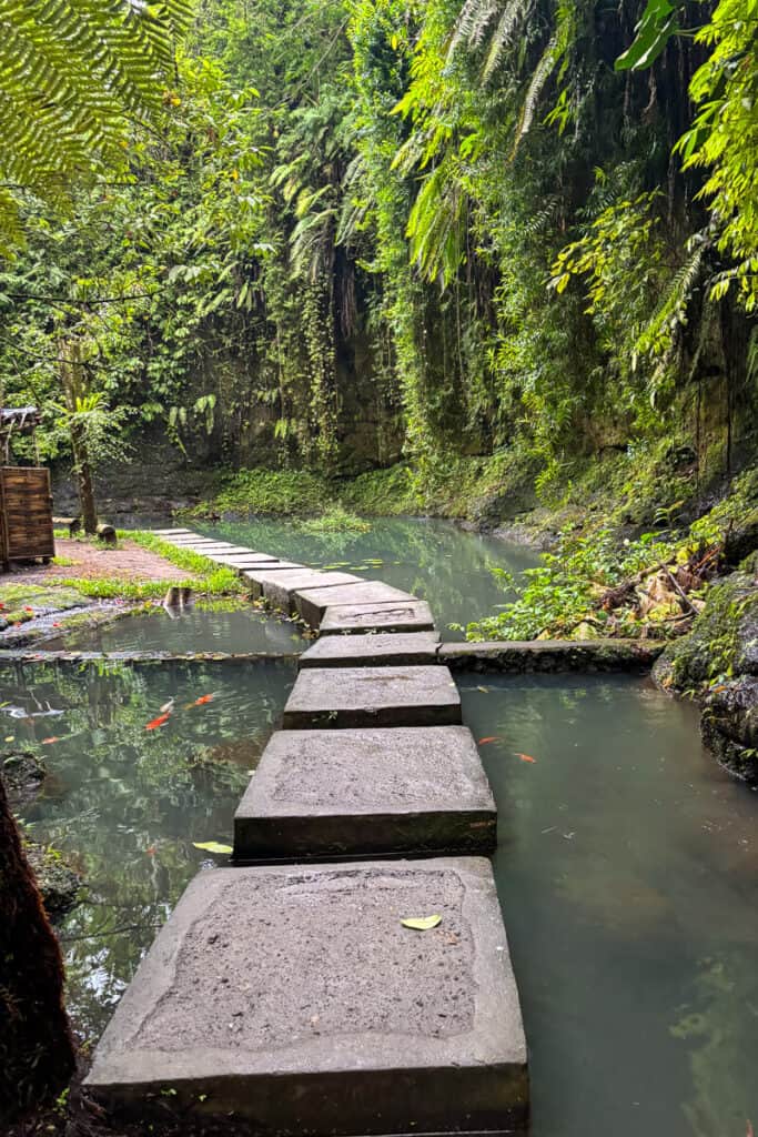 Stepping stone path crossing a tranquil pond filled with koi fish, surrounded by lush greenery and moss-covered cliffs. A peaceful moment on the Ubud waterfalls route, perfect for slowing down and taking in the scenery.