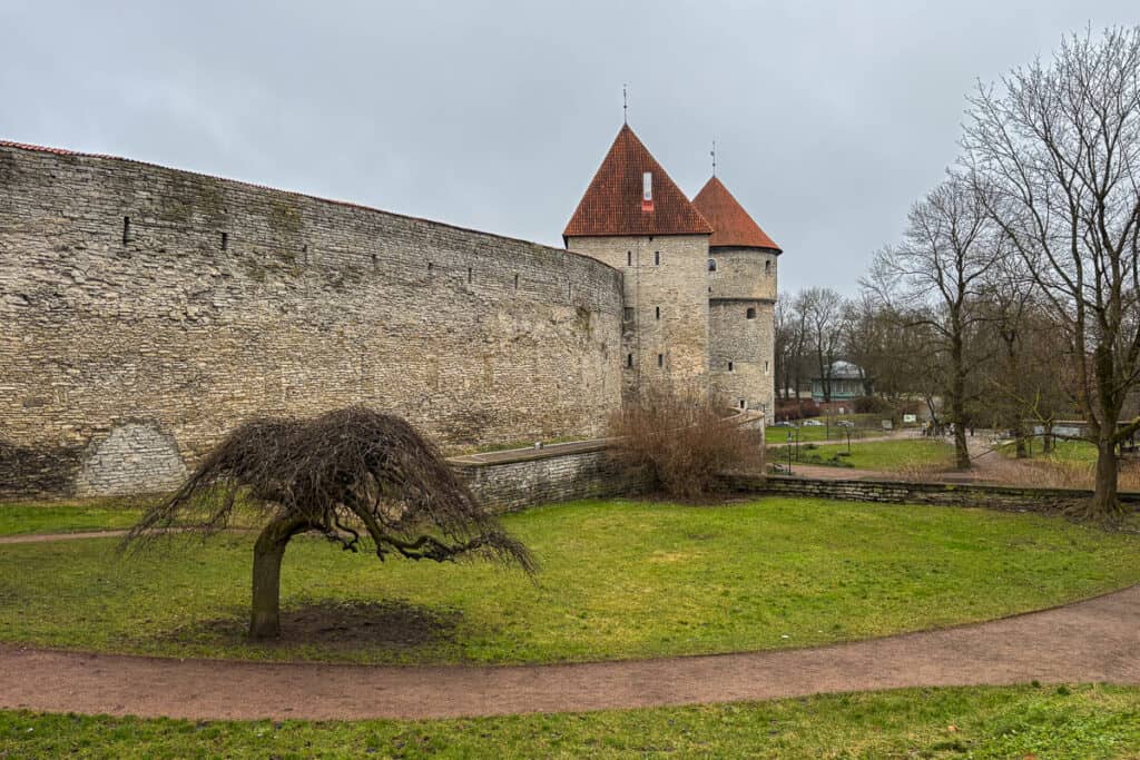 Medieval stone walls and towers of Tallinn Old Town border a quiet green park with walking paths and a small tree, a peaceful spot to explore during one day in Tallinn.