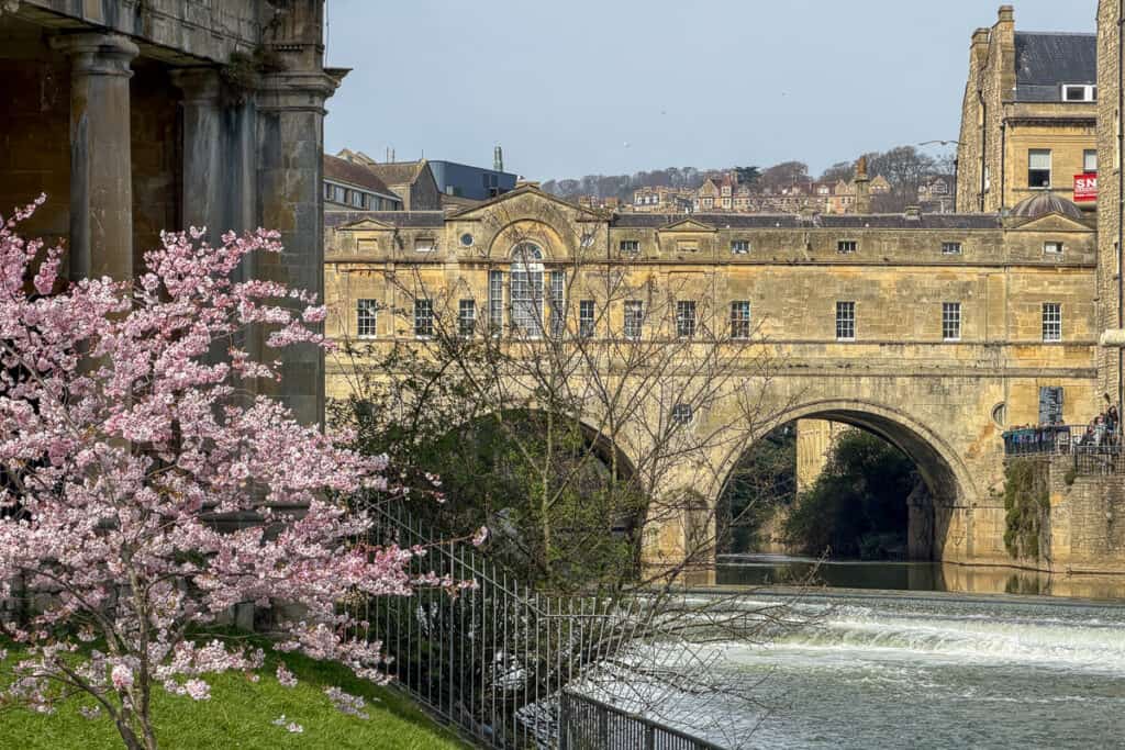 View of Pulteney Bridge in Bath with its stone arches spanning the river and a small waterfall below, framed by blooming pink cherry blossoms and historic buildings, a scenic stop on a day trip to Bath from London