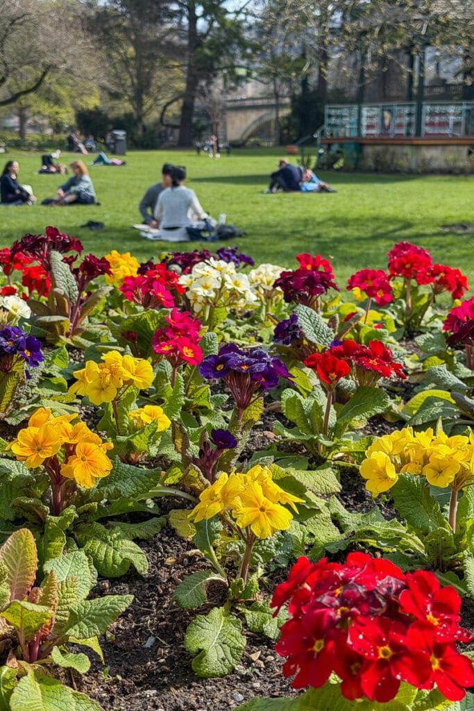 Bright flower beds in Bath Parade Gardens with people relaxing on the grass in the background on a sunny day, a peaceful stop to enjoy on a Bath day trip.