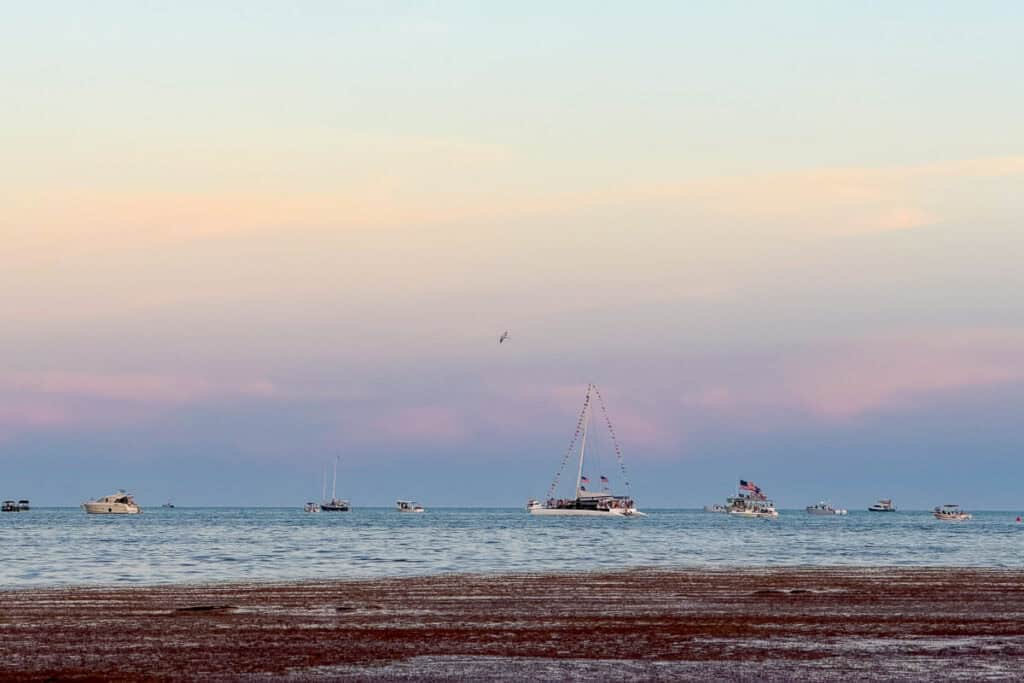 Sailboats and small boats gathered on the water at sunset in Key West, with pink and orange clouds overhead and seaweed covering the shoreline in the foreground.